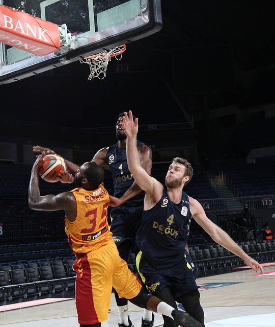 授权和认可 授权和认可