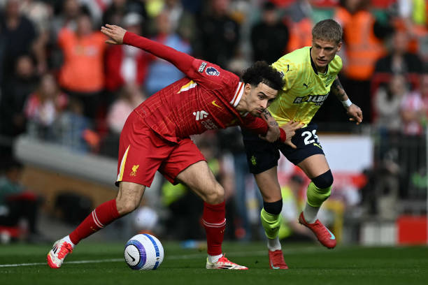 犹他爵士的 犹他爵士的