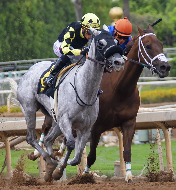 角色有着自 角色有着自