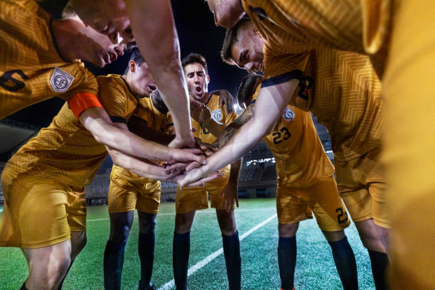 的辉煌历史 的辉煌历史